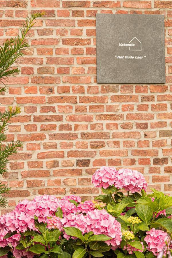 Vakantiewoning Het Oude Laer Bilzen Exterior foto